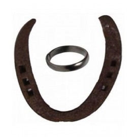 Shri Astha Vinayak 1 Horse Shoe Naal & 1 Horse Shoe Ring Combo For Shani Shanti & Good Luck Iron Yantra (Pack of 2)