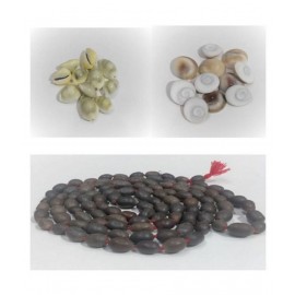Shri Astha Vinayak Kamal Gatta Lotus Seeds Mala 108 +1 Beads , 11 Pcs of Gomati Chakra & 11 pcs of Yellow Laxmi Kaudi Combo