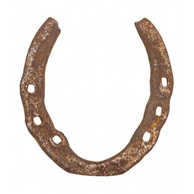 Shri Astha Vinayak Orginal Black Horse to Protect from Bad Eyes & vastu dosh, Original Kale Ghode Ki Naal, Made in India Best For Gifting (Black)