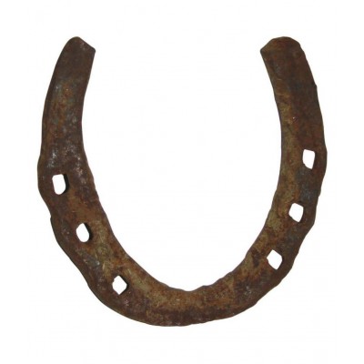 Shri Astha Vinayak Orginal Black Horse to Protect from Bad Eyes & vastu dosh, Original Kale Ghode Ki Naal, Made in India Best For Gifting (Black)