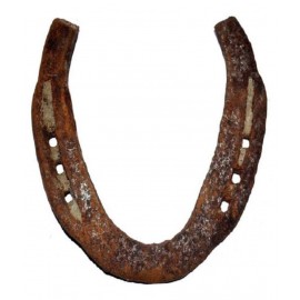 Shri Astha Vinayak Orginal Black Horse to Protect from Bad Eyes & vastu dosh, Original Kale Ghode Ki Naal, Made in India Best For Gifting (Black)