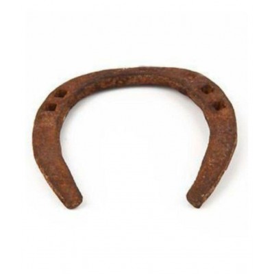 Shri Astha Vinayak Original Kale Ghod Ki Naal/ Black Horse Shoe for Good Luck And Restrict Bad/Evil Energy(SET OF 1)