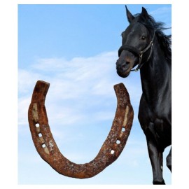 Shri Astha Vinayak Original Kale Ghod Ki Naal/ Black Horse Shoe for Good Luck And Restrict Bad/Evil Energy(SET OF 1)