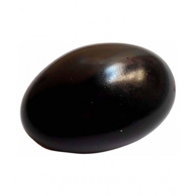 Shri Astha Vinayak SHALIGRAM (Laxmi Narayan Shaligram)