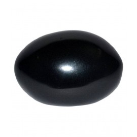 Shri Astha Vinayak SHALIGRAM (Laxmi Narayan Shaligram)