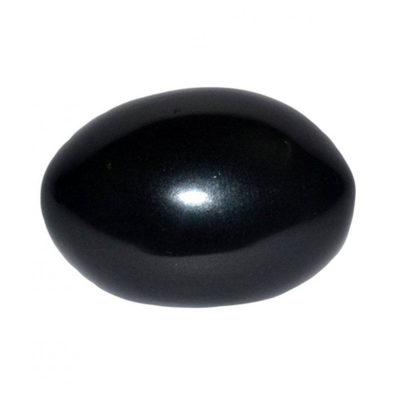 Shri Astha Vinayak SHALIGRAM (Laxmi Narayan Shaligram)