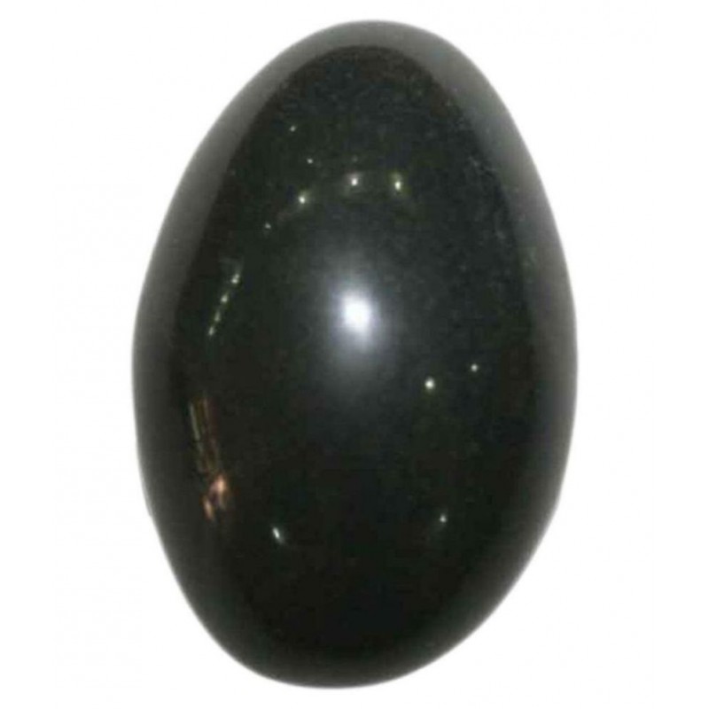Shri Astha Vinayak Shaligram