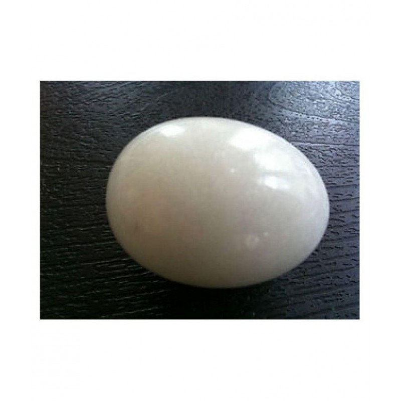 Shri Astha Vinayak WHITE SHALIGRAM - SALAGRAM - SHALIGRAMA - Shiv Shaligram - Very Rare