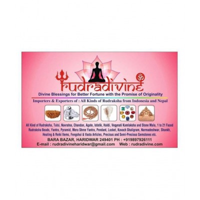 Shri Baglamukhi Yantra box / Complete puja set  Kavach Bagla Mukhi Pujan Poojan Samagri