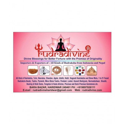 Shri Kuber Bhandari Dhan Laxmi Yantra - Pack of 1