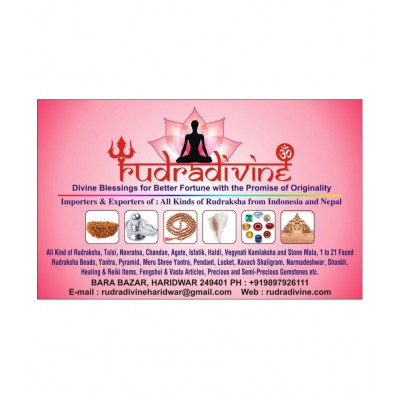 Shri Shani Yantra kavach box set | Complete shani Niwaran Yantra set to put at your Worship place or Temple for Shani Dosh niwaran And Blessing of Shani dev | 14 x 14 cm size box approximate | Rudra Divine