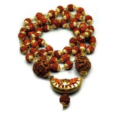 Sigma Ek Mukhi Rudraksha Mala (with 51 Panch mukhi rudraksh)
