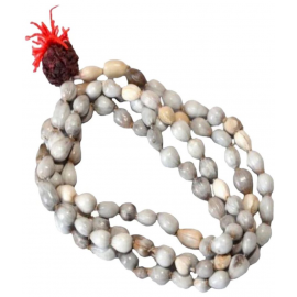 Sigma Vaijanti Mala