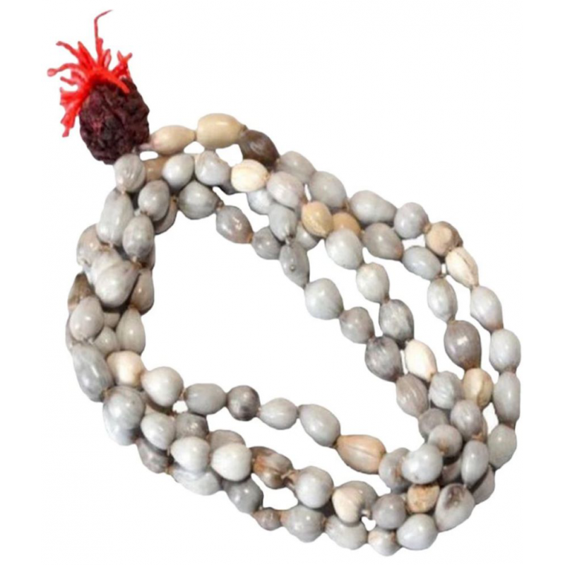 Sigma Vaijanti Mala