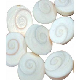 Sobhagya Very Rare Natural Gomati Chakra - 7 Pcs