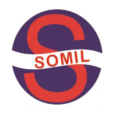 Somil Multicolour Glass Handicraft Showpiece - Pack of 1
