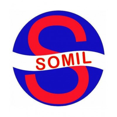 Somil White Glass Handicraft Showpiece - Pack of 1