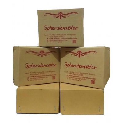 Spherulemuster Handmade Bhajan Kirtan Manjeera (5.5 cm) with Ghunghru Payal Set of 2- Brass Material