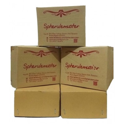 Spherulemuster Panchmukhi Brass diya for Temple, Home & Office Décor with Cotton Diya Batti