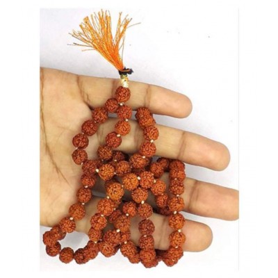 Spherulemuster Rudraksha 5 Mukhi Beads with Kanti Mala (6mm)