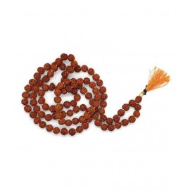Spherulemuster Rudraksha 5 Mukhi Beads with Kanti Mala (6mm)