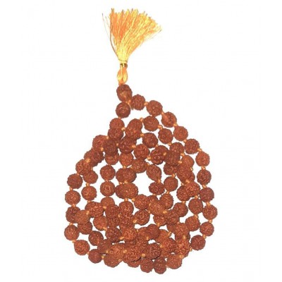 Spherulemuster Rudraksha 5 Mukhi with Kanti Mala (10 mm)