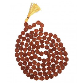 Spherulemuster Rudraksha 5 Mukhi with Kanti Mala (10 mm)