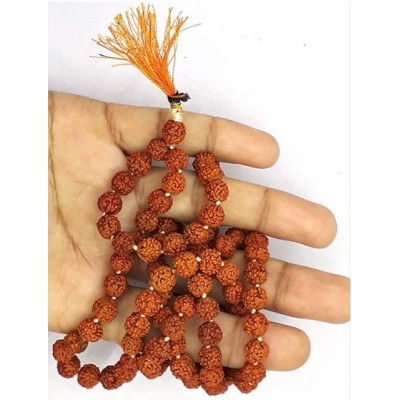 Spherulemuster Rudraksha Pack of 1