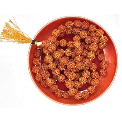 Spherulemuster Rudraksha Pack of 1