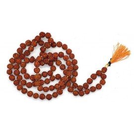 Spherulemuster Rudraksha Pack of 1