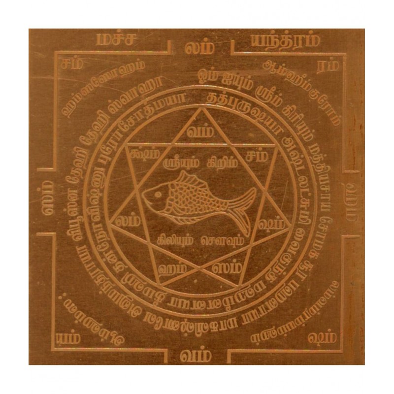 Sri Bakthi Today Matsya Yantra Macha Yantra Tamil Copper