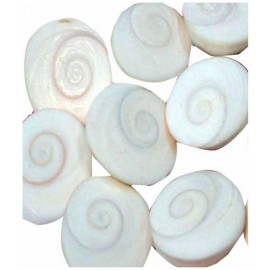 Stone Gomti Chakra
