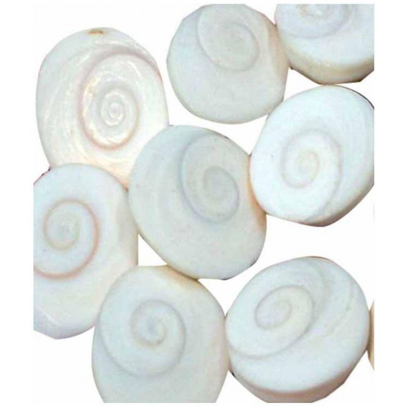 Stone Gomti Chakra