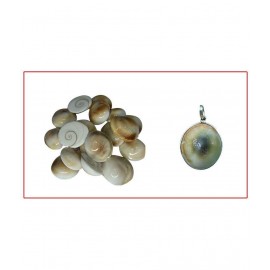 SwadesiBuyzzar Marble Gomti Chakra