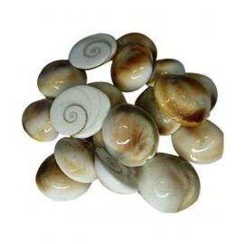 Swadesibuyzzar Marble Gomti Chakra