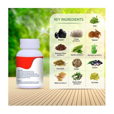 Swakalyan Madhumeh Niyantrak for Diabetes Capsule 60 no.s Pack Of 1