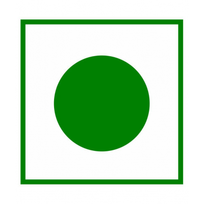 TRIKUND Giloy sticks Raw Herbs 250 gm