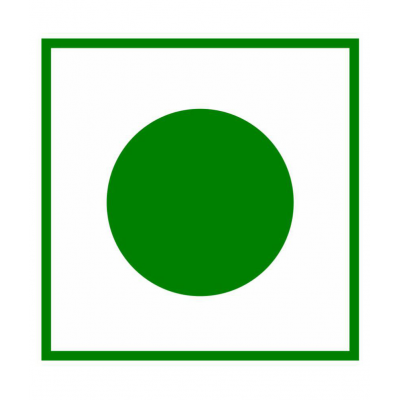 TRIKUND Giloy sticks Raw Herbs 50 gm