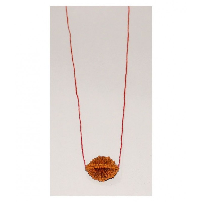 TWO MUKHI RUDRAKSHA MALA-DO MUKHI-2 MUKHI RUDRAKSH