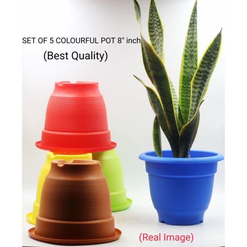 The indian gardener Multicolour Fiber Decorative Pots - Pack of 5