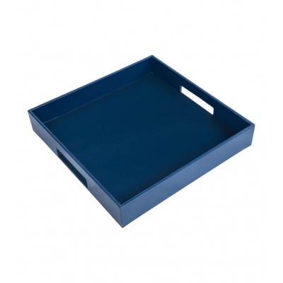 Thylable BLUE Leather Trays - Pack of 1