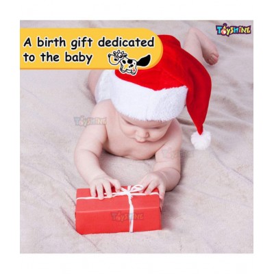 Toyshine Baby Books Toys, Touch and Feel Crinkle Cloth Books for Babies, Infants & Toddler, Early Development Interactive Car & Stroller Soft Toys for Boys & Girls (Birds) Toyshine Baby Books Toys, Touch and Feel Crinkle Cloth Books for Babies, Infants & Toddler, Early Development Interactive Car & Stroller Soft Toys for Boys & Girls (Birds)