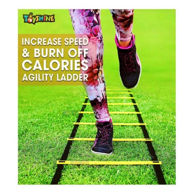 Toyshine Fitness Combo - 6 Pc (12 Inches) Stacking Cones, 10 Pc Space Markers and 1 Pc Agility Ladder (8 M) (SSTP)- Multicolour