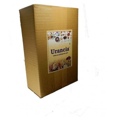 Urancia Banslochan Bambusa ArundinaceaVanshlochan Arundinacea Tabasheer 100gm
