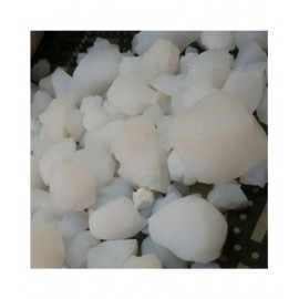 Urancia Banslochan Bambusa ArundinaceaVanshlochan Arundinacea Tabasheer 100gm