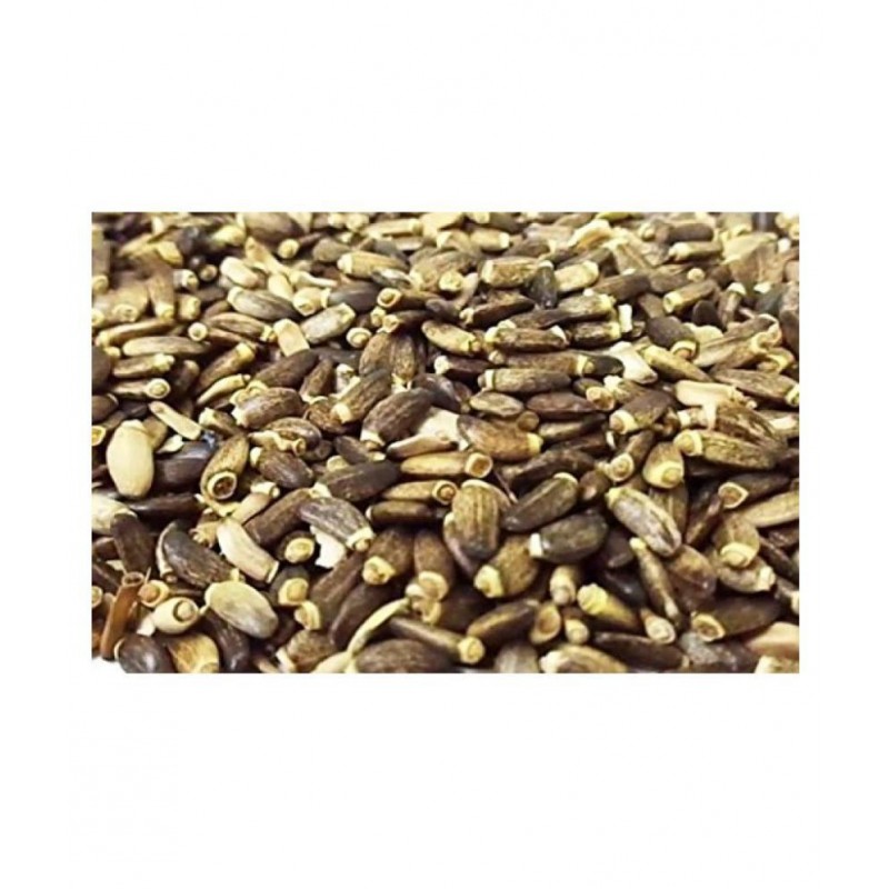 Urancia® Bhat-kataiya Milk Thistle Silybum Marianum Seed 100gm