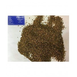 Urancia® Fresh Amar bel Nirmuli Cuscuta reflexa Seed 100g