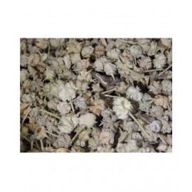 Urancia® Gokhru Chota Tribulus Terrestirs Small Caltrops 150gram Gokharu
