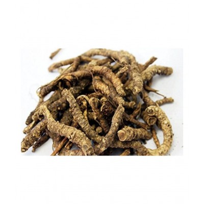 Urancia® Kutki Katuka Kaud Picrorhiza kurroa 100gm