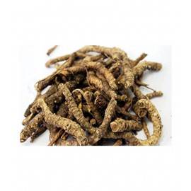 Urancia® Kutki Katuka Kaud Picrorhiza kurroa 100gm